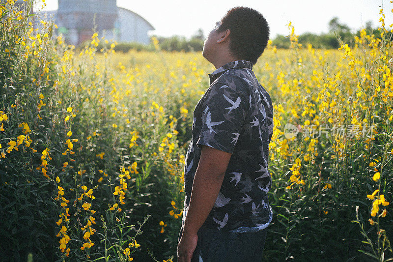 young asian man in flower field